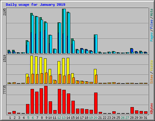 Daily usage for January 2019