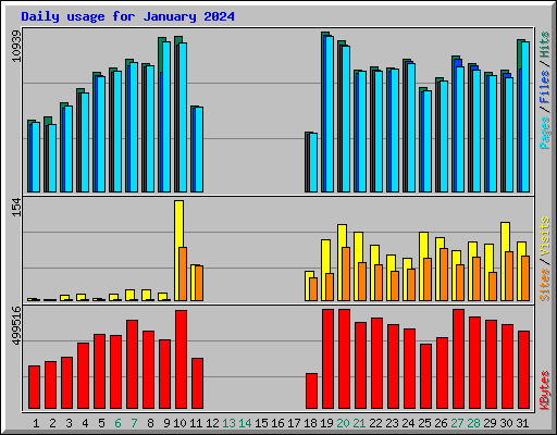 Daily usage for January 2024