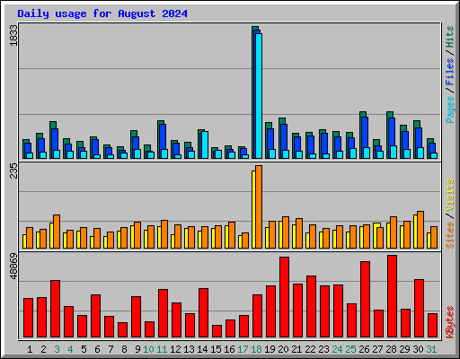 Daily usage for August 2024