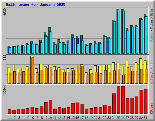 Daily usage for January 2025