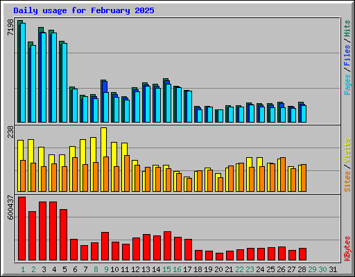 Daily usage for February 2025