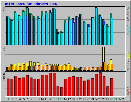 Daily usage for February 2026