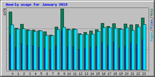Hourly usage for January 2019