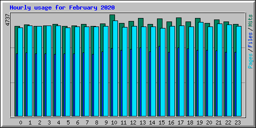 Hourly usage for February 2020