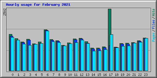 Hourly usage for February 2021