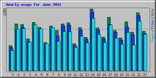 Hourly usage for June 2021