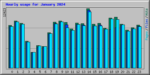 Hourly usage for January 2024