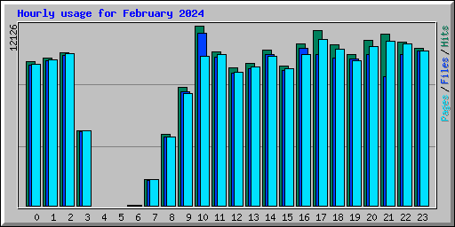 Hourly usage for February 2024