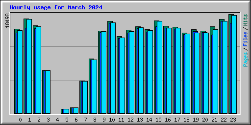 Hourly usage for March 2024