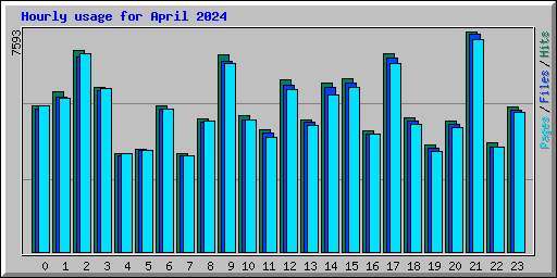 Hourly usage for April 2024