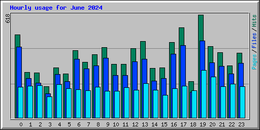 Hourly usage for June 2024