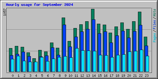 Hourly usage for September 2024