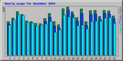 Hourly usage for November 2024