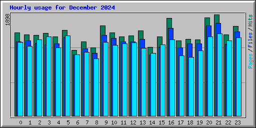 Hourly usage for December 2024