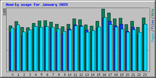 Hourly usage for January 2025