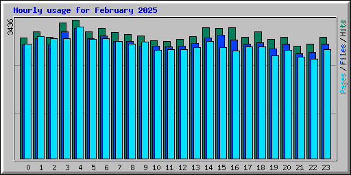 Hourly usage for February 2025