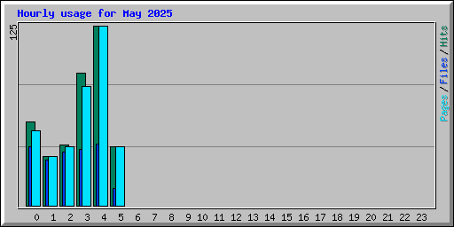 Hourly usage for May 2025