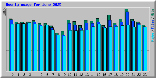 Hourly usage for June 2025