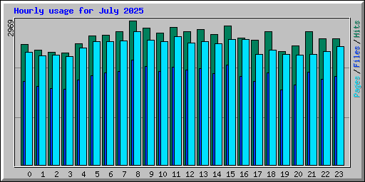 Hourly usage for July 2025