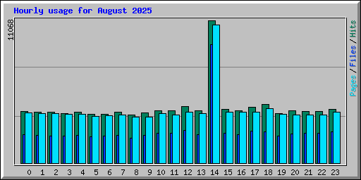 Hourly usage for August 2025