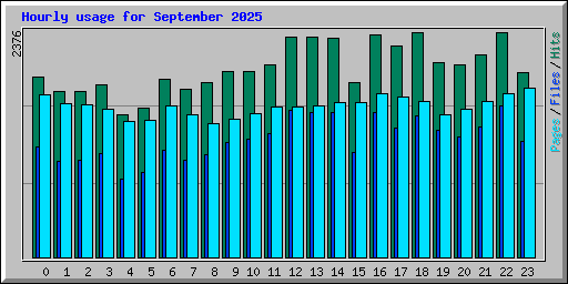 Hourly usage for September 2025