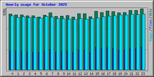 Hourly usage for October 2025