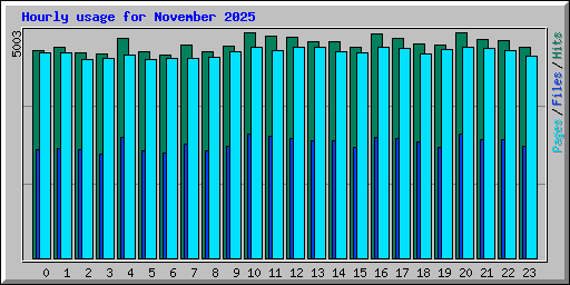 Hourly usage for November 2025