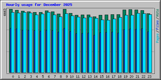 Hourly usage for December 2025