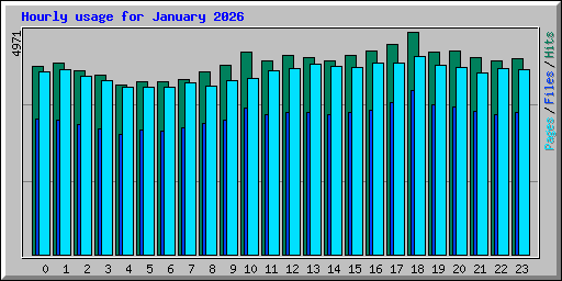 Hourly usage for January 2026