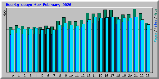 Hourly usage for February 2026